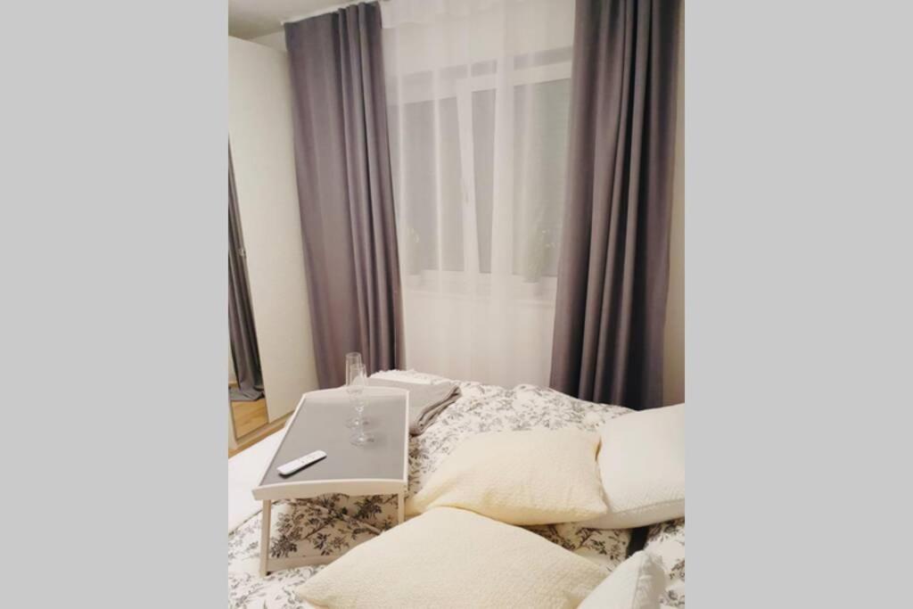 Leon Apartment Neu! Gemuetlichkeit An Erster Stelle Linz Ngoại thất bức ảnh